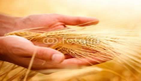 Gacc necessita de doações de alimentos e materiais de higiene